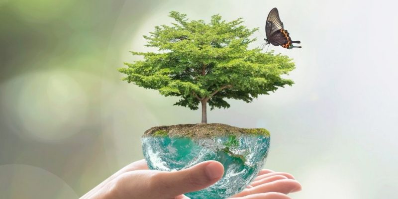 Alt="Verunreinigung bedrohe die Zukunft der globalen Lebensmittelproduktion"